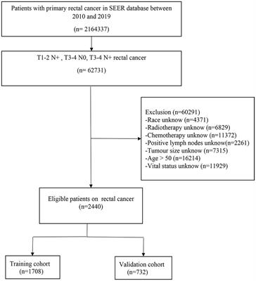 Early-onset locally advanced rectal cancer characteristics, a practical nomogram and risk stratification system: a population-based study
